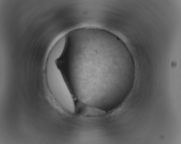 X0000092310864200710121457