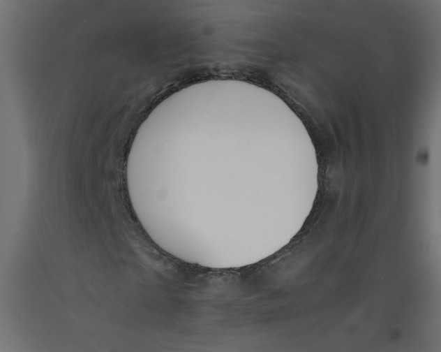 X0000092310865200710121456