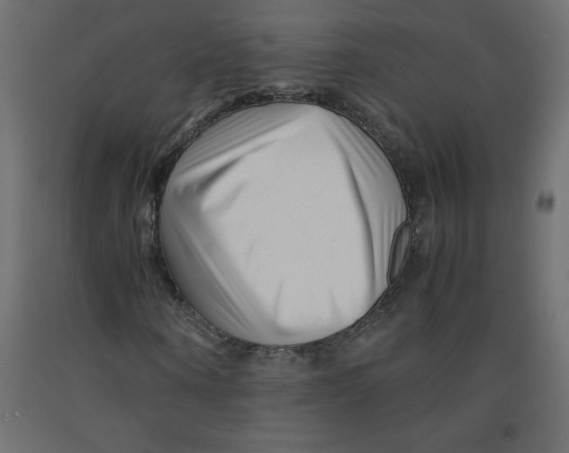 X0000092310866200710121456