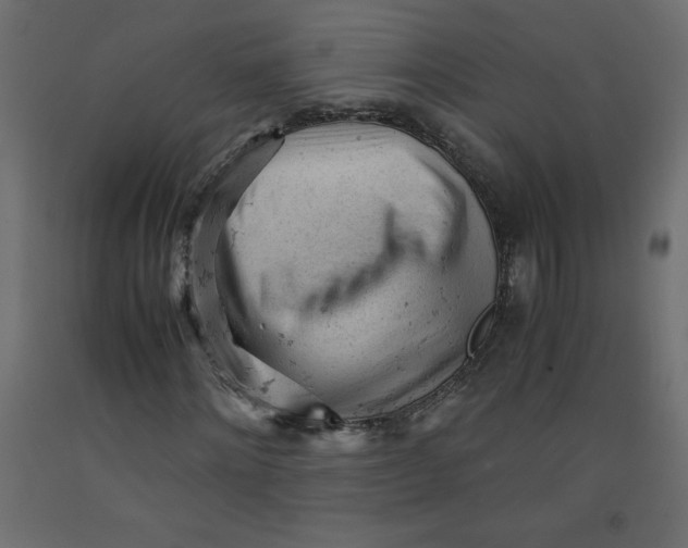 X0000092310868200710121456