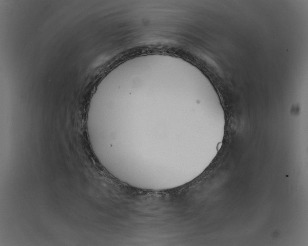 X0000092310869200710121456