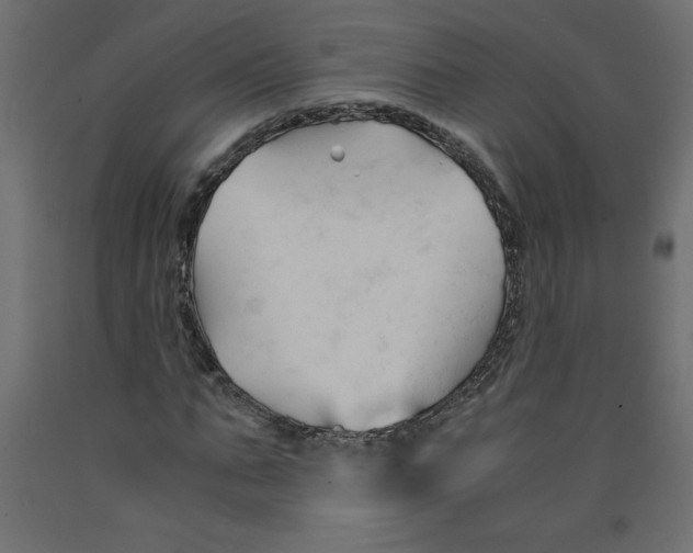 X0000092310871200710121456