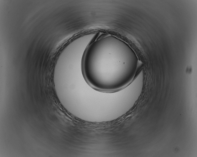 X0000092310872200710121456