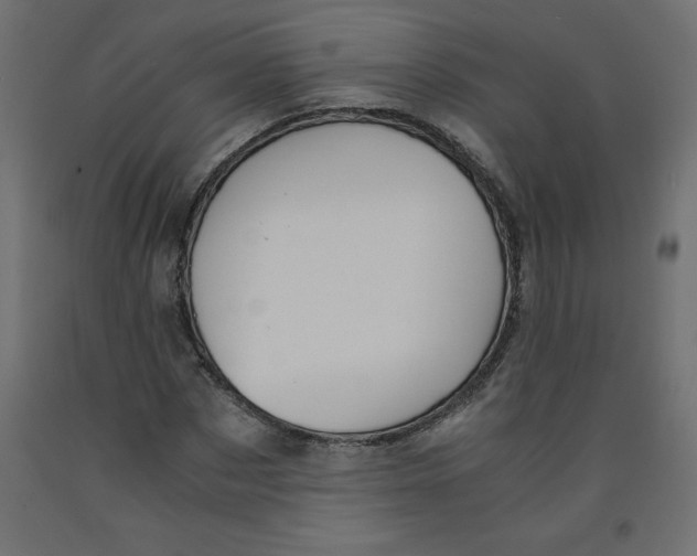 X0000092310873200710121456