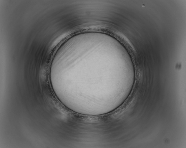 X0000092310874200710121456