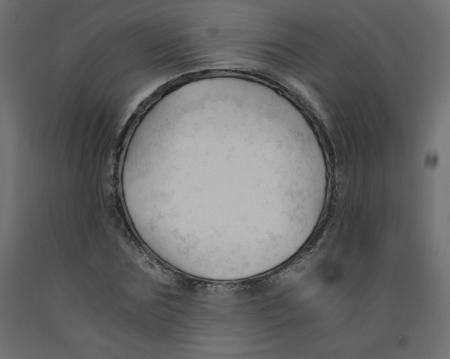X0000092310875200710121456
