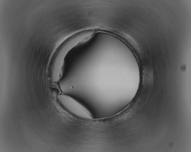 X0000092310876200710121456
