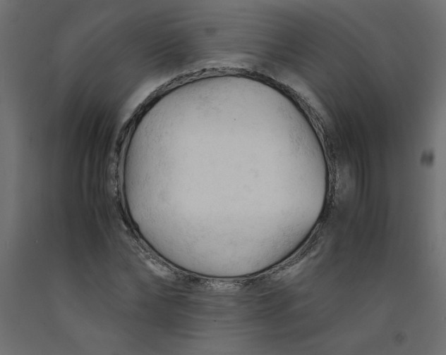 X0000092310878200710121456