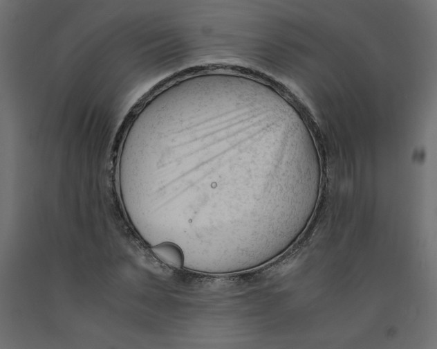 X0000092310879200710121456