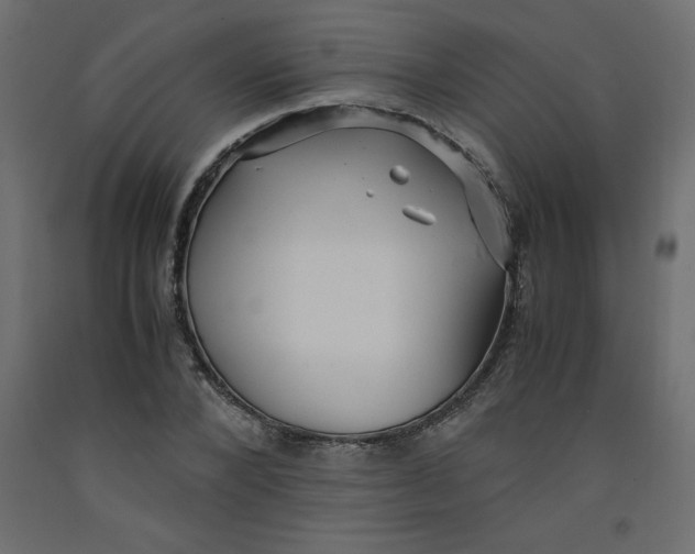 X0000092310880200710121456