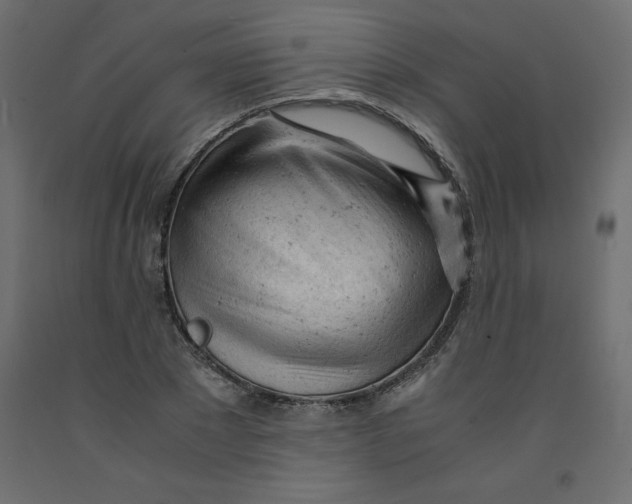 X0000092310881200710121456