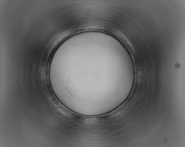 X0000092310882200710121456