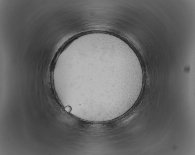 X0000092310883200710121456