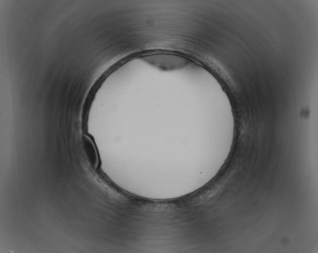 X0000092310884200710121456