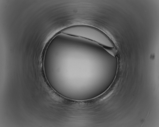 X0000092310885200710121456