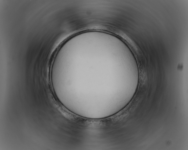 X0000092310886200710121456