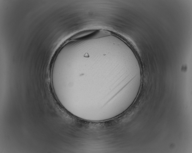 X0000092310887200710121456