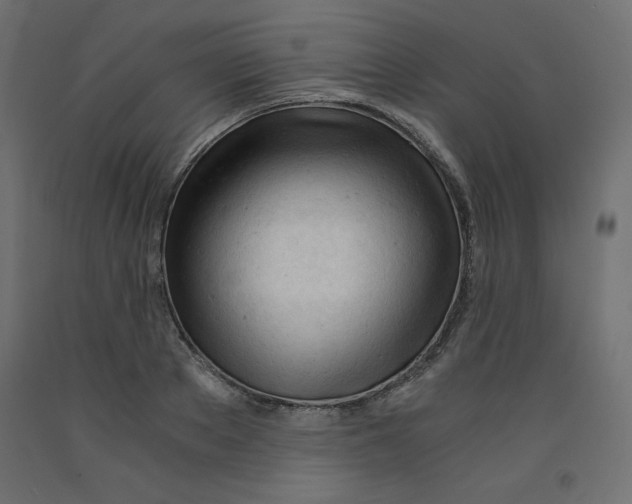 X0000092310889200710121456