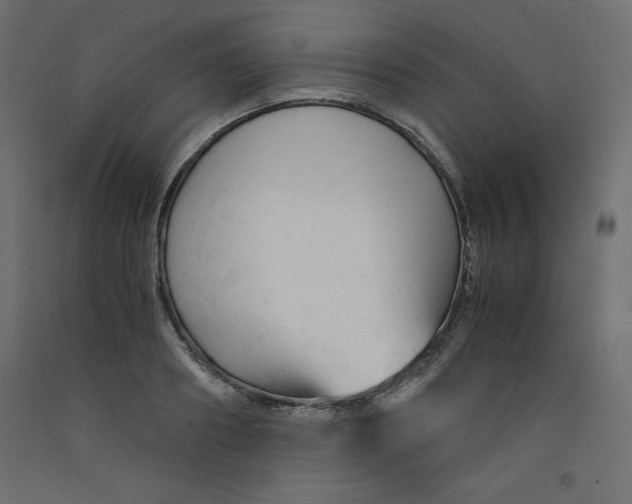 X0000092310890200710121456