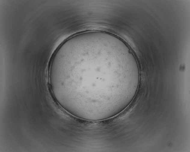 X0000092310891200710121456