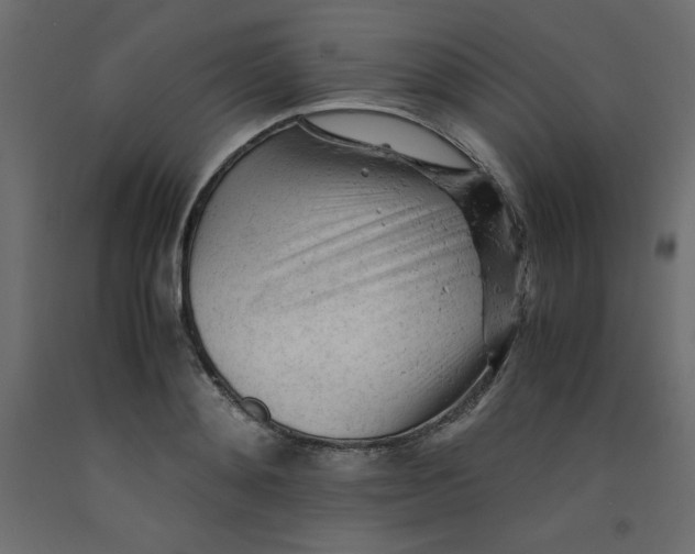 X0000092310892200710121456