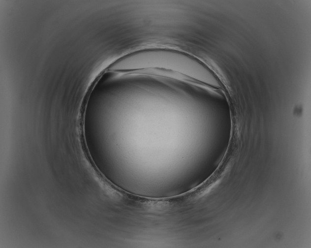 X0000092310893200710121456
