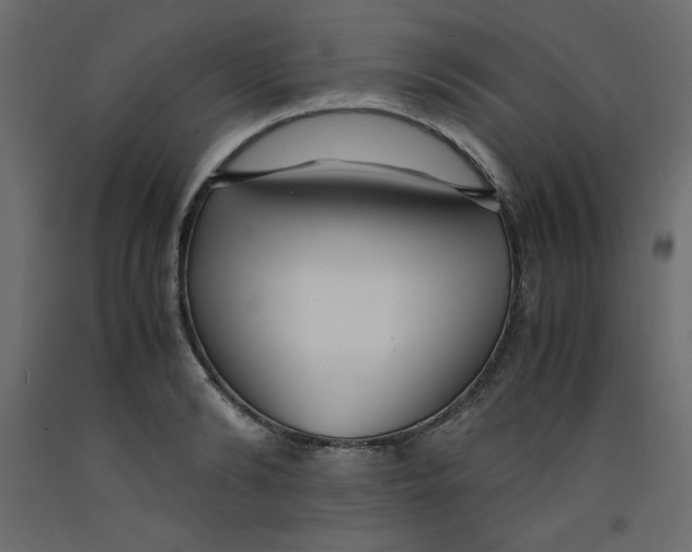 X0000092310894200710121456