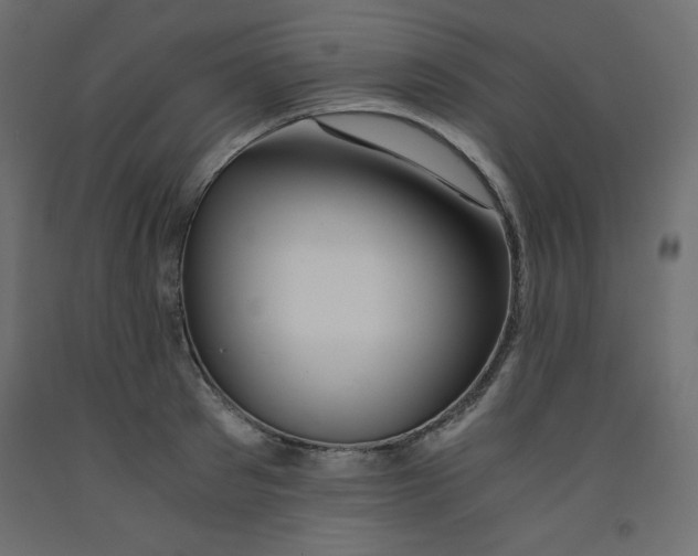 X0000092310897200710121456