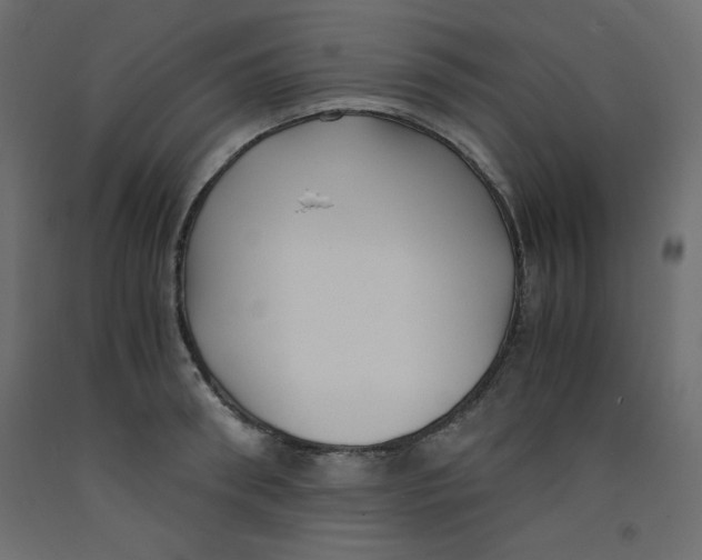 X0000092310898200710121456