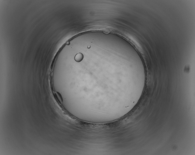 X0000092310899200710121456