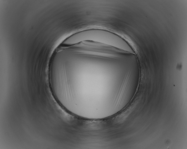 X0000092310902200710121455