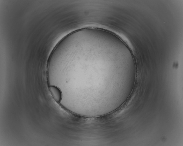 X0000092310903200710121455