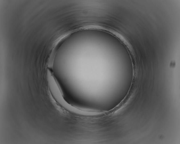 X0000092310905200710121455