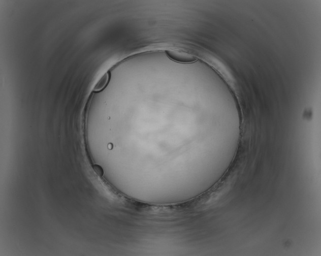 X0000092310907200710121455