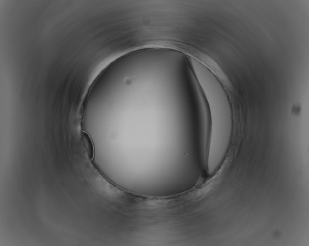 X0000092310908200710121455