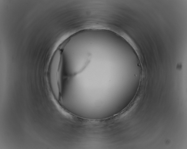 X0000092310909200710121455
