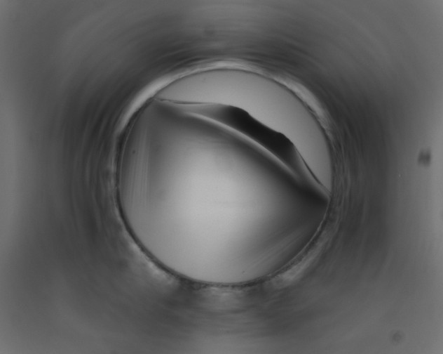 X0000092310910200710121455