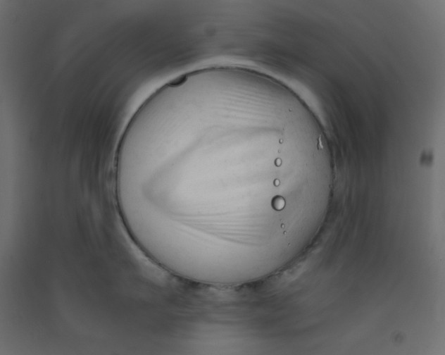 X0000092310911200710121455