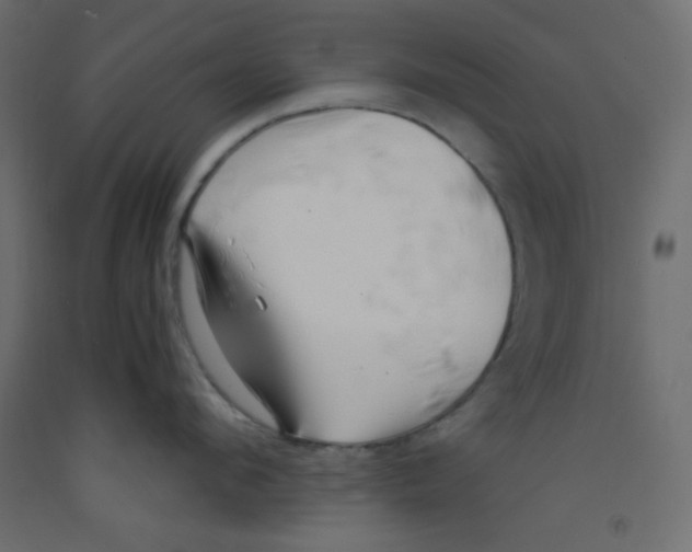 X0000092310912200710121455