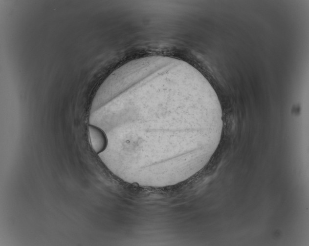 X0000092310913200710121455