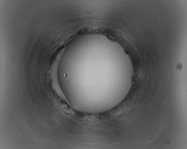 X0000092310914200710121455