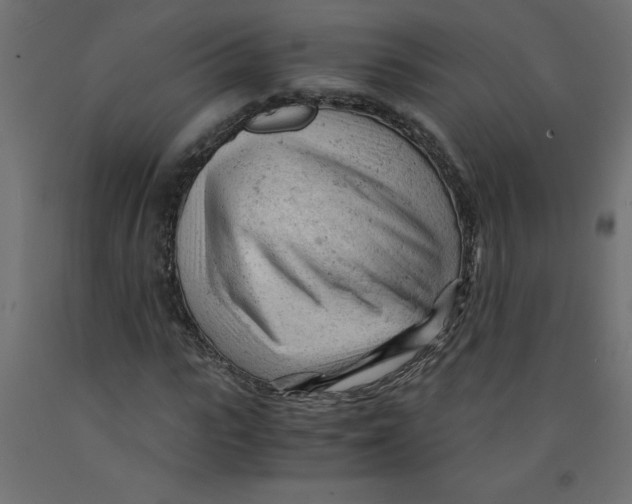X0000092310919200710121455