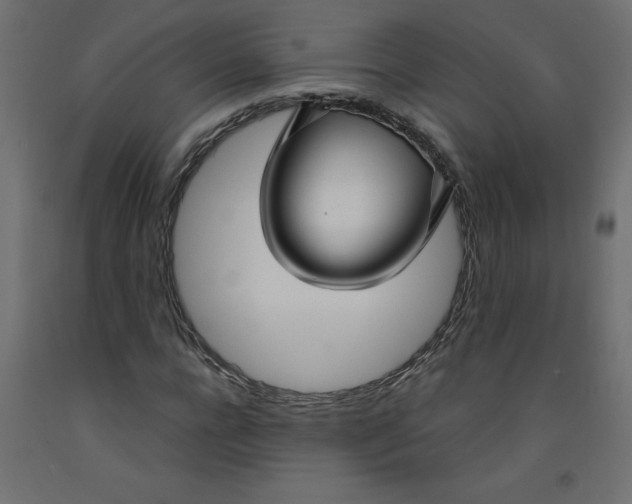 X0000092310920200710121455
