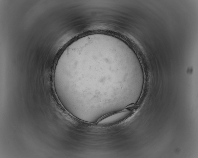 X0000092310921200710121455