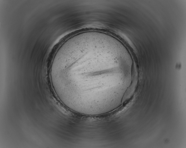 X0000092310923200710121455