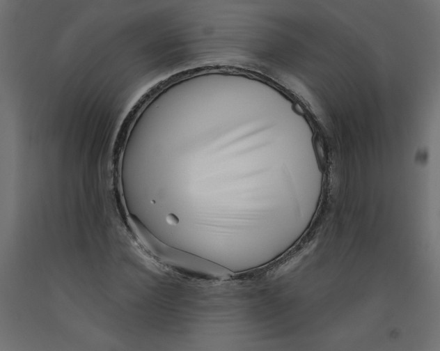 X0000092310924200710121455