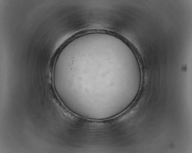 X0000092310925200710121455