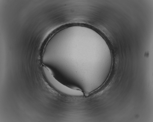 X0000092310926200710121455