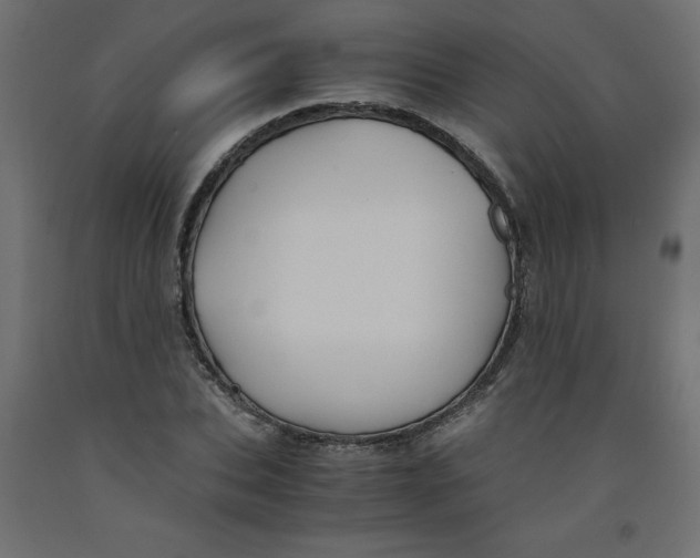 X0000092310927200710121455