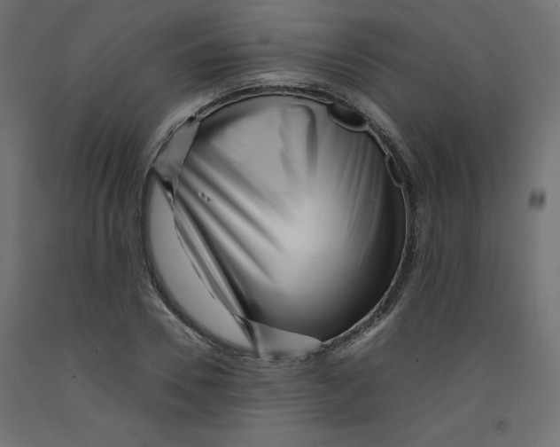 X0000092310930200710121455